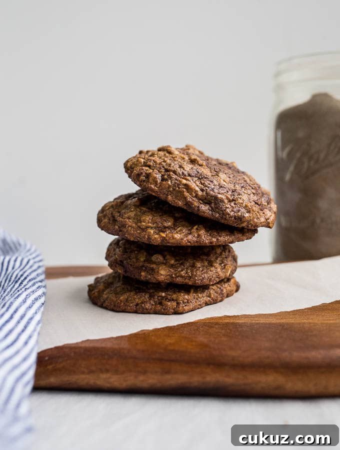 Teff Oatmeal Chocolate Chip Cookies from Alternative Baker (gluten-free) | saltedplains.com
