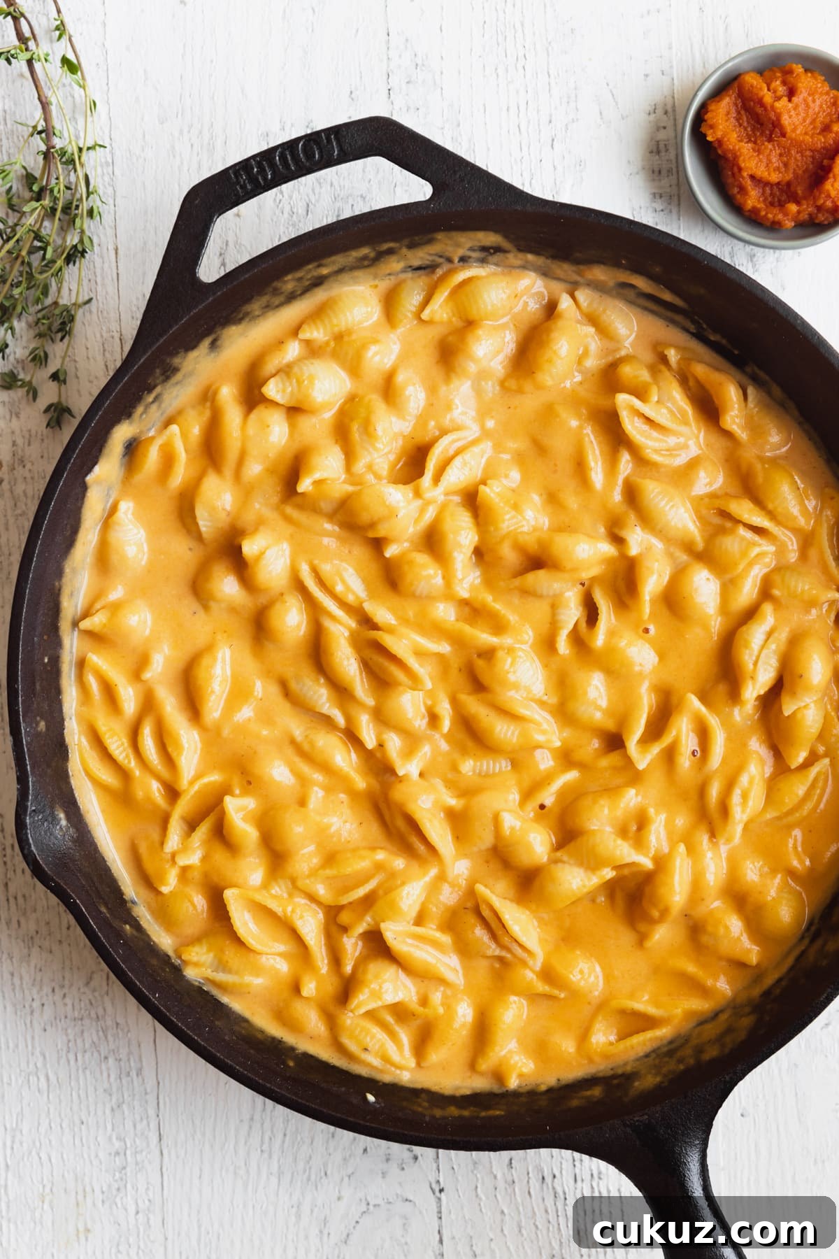 macaroni pasta in a cast iron skillet in a pumpkin cheddar cheese sauce. 