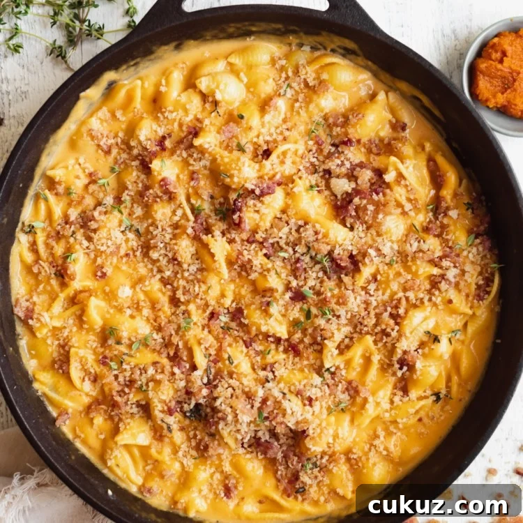 macaroni pasta on in a black cast iron skillet in a pumpkin cheddar cheese sauce garnished with bacon and fresh thyme.