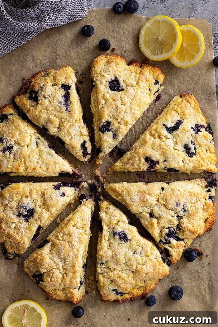overhead: lemon blueberry scones with slices of lemons for garnish
