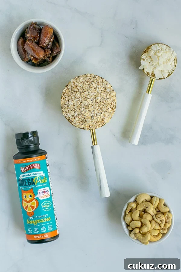 ingredients needed to make the energy bite recipe