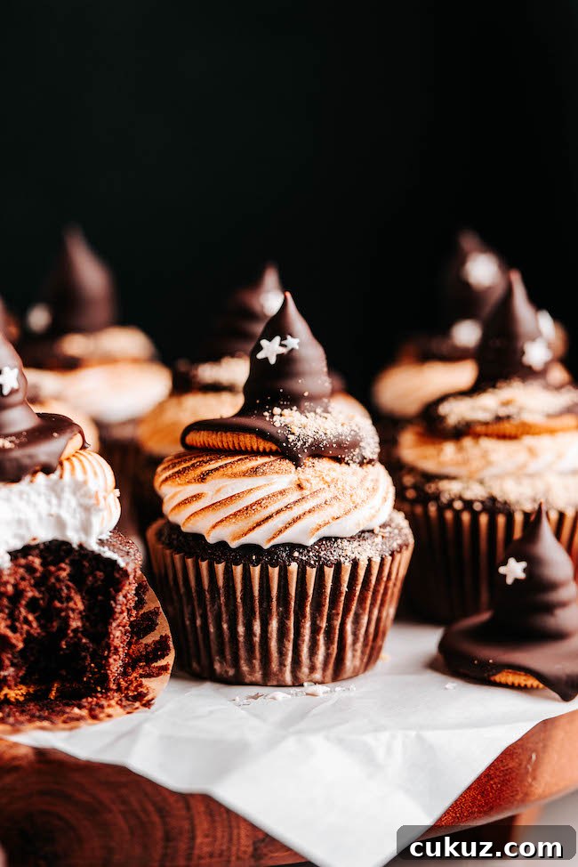 Halloween Candy Cookie Recipe for Festive Treats 12 S'mores Witch Hat Cupcakes
