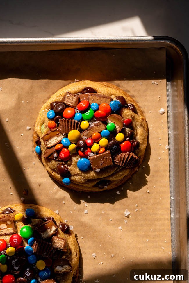 Halloween Candy Cookie Recipe for Festive Treats 10 Finished Halloween candy cookie