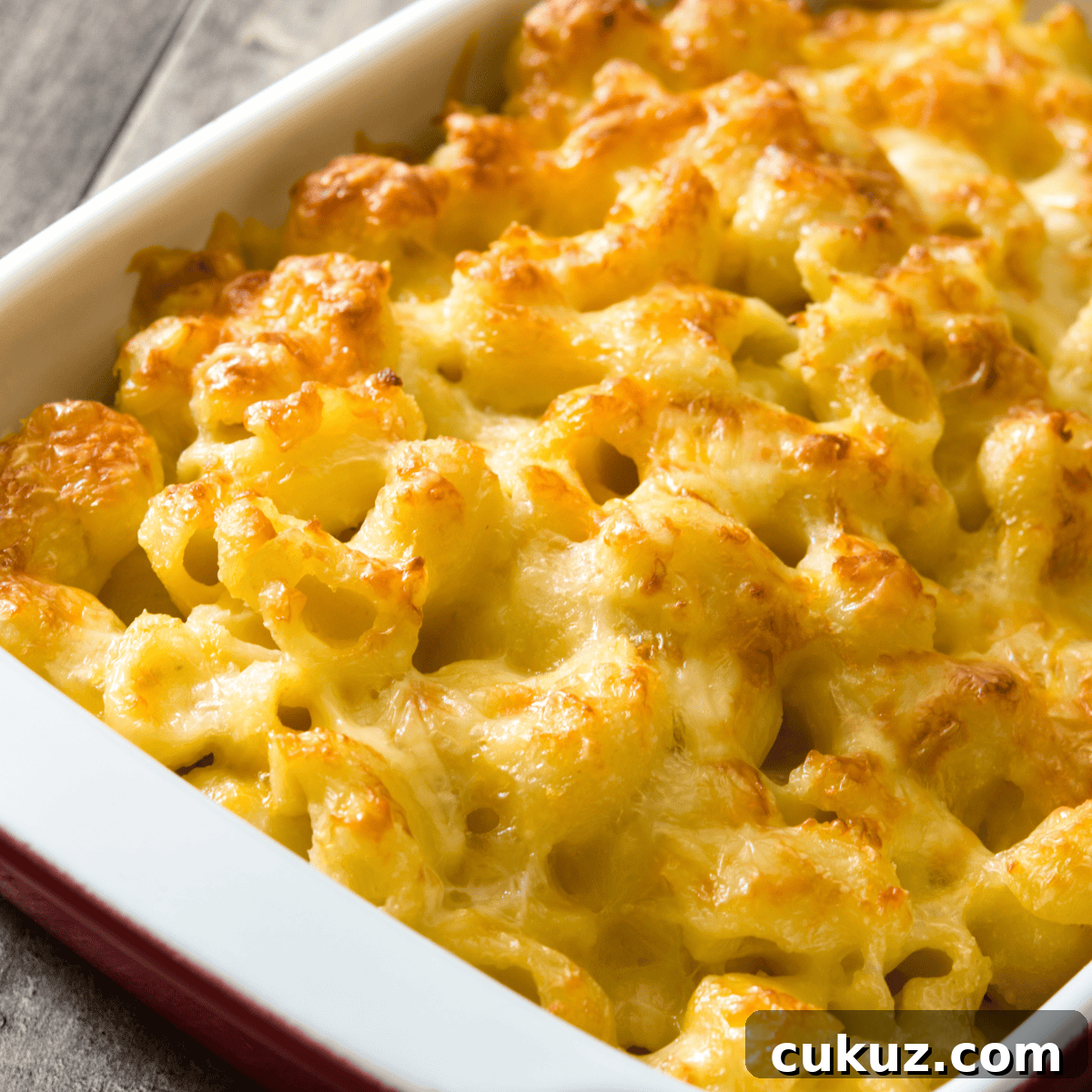 Are Seed Oils Harmful? Safe Cooking Fats and Oils for Kids 3 mac and cheese