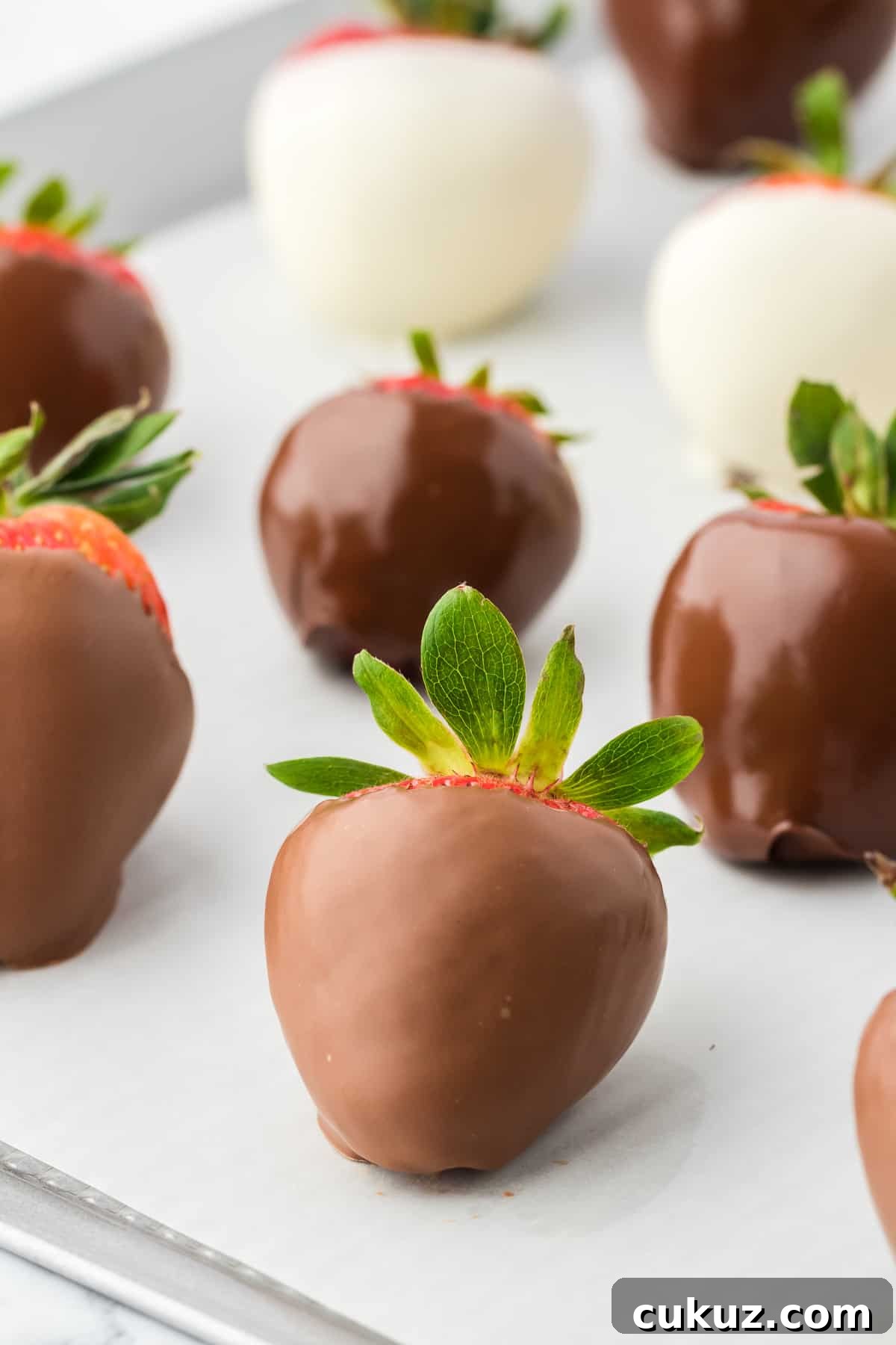 chocolate covered strawberries drying on a parchment paper lined baking sheet