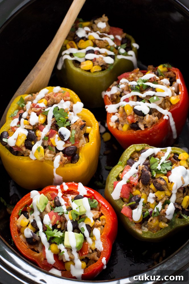 Yellow, green and red stuffed bell peppers inside a slow cooker. With a drizzle of white cream sauce and garnished with fresh cilantro.