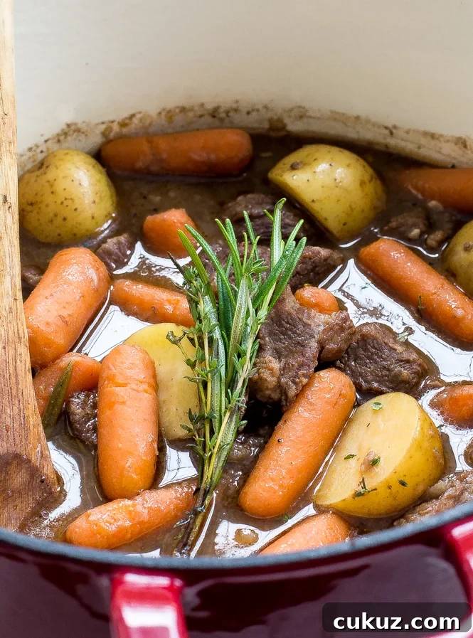 beef stew in cast iron pot with fresh herbs on top