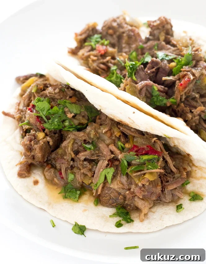 Beef Barbacoa in a flour tortilla garnished with freshly chopped cilantro.