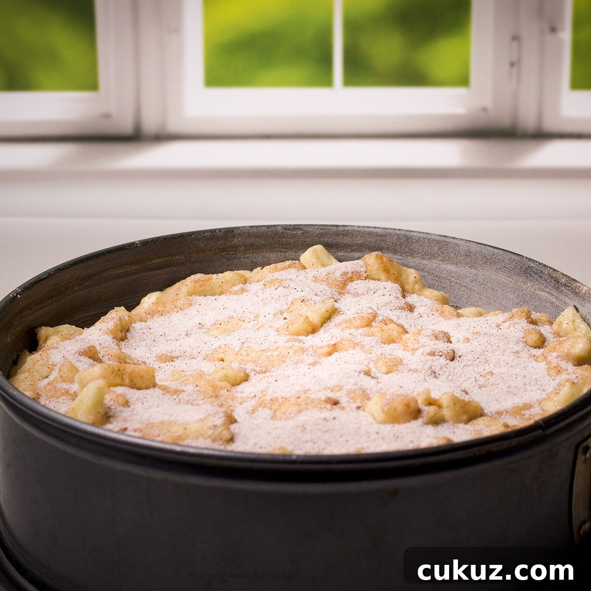 A springform pan containing Irish Apple Cake batter, ready to bake.