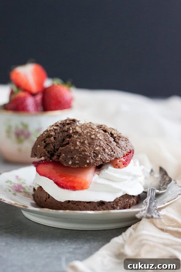 Chocolate Strawberry Shortcakes on a plate