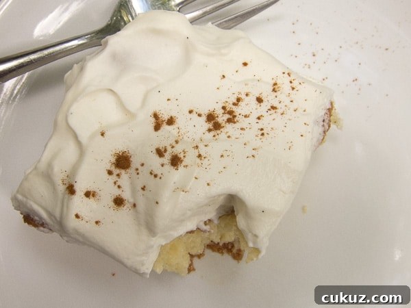 Authentic Tres Leches Cake Recipe with Flaming Ghost Eye Decoration 6 img 5163 5