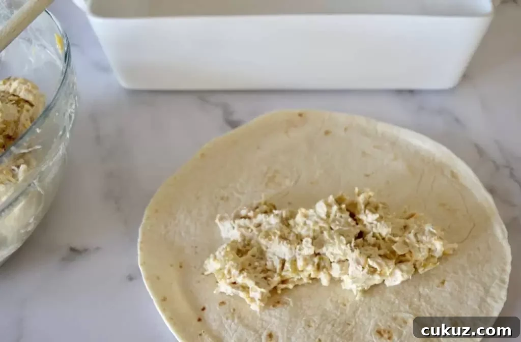 Burrito on the counter with filing inside.