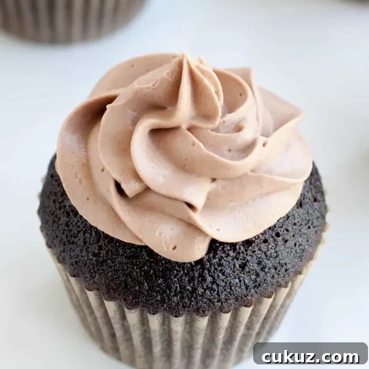 Chocolate Whipped Cream Cream Cheese Frosting