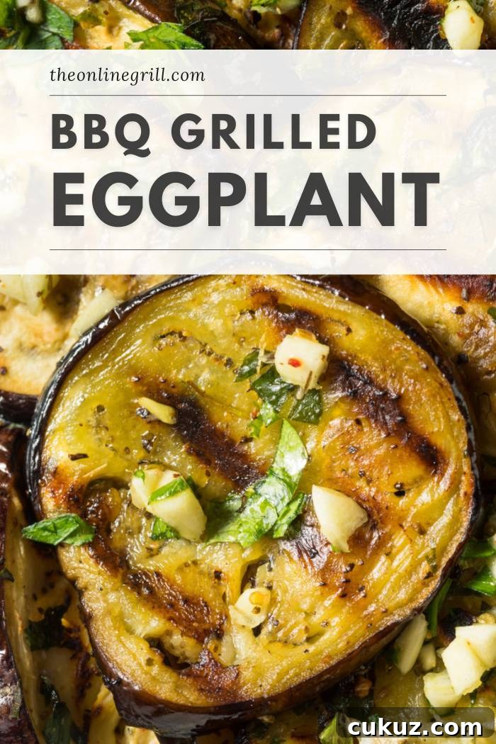 Perfectly Grilled Eggplant Recipe for Smoky Summer Flavor 2 grilled eggplant recipe