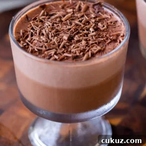 cup of two-layer vegan chocolate pudding with chocolate shavings on top