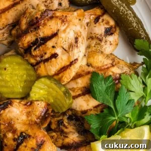close up view of chicken with pickles