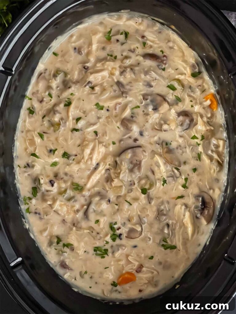 Chicken and wild rice soup in the crock of a slow cooker.