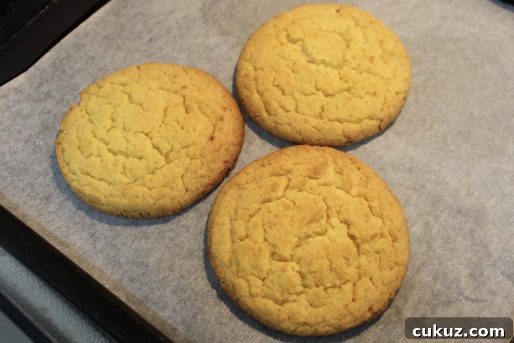 Corn cookies