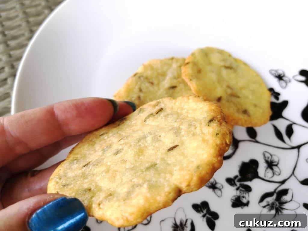 Zero-Carb Keto Parmesan and Fennel Crisps 3 Zero Carbs Keto Parmesan & Fennel Crisps