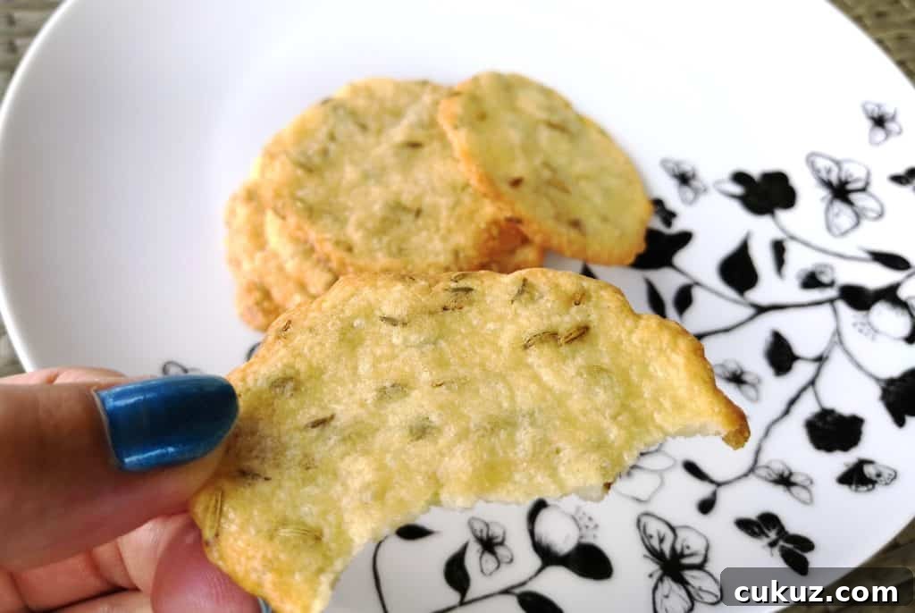 Zero-Carb Keto Parmesan and Fennel Crisps 6 Zero Carbs Keto Parmesan & Fennel Crisps