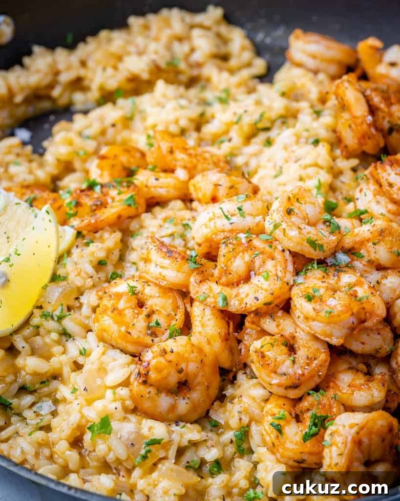 close up view of shrimp risotto in a pan