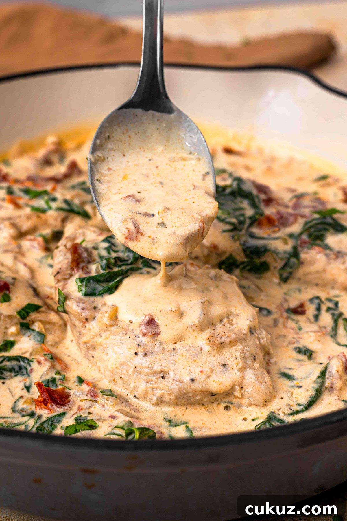 Creamy Chicken in Parmesan Sauce