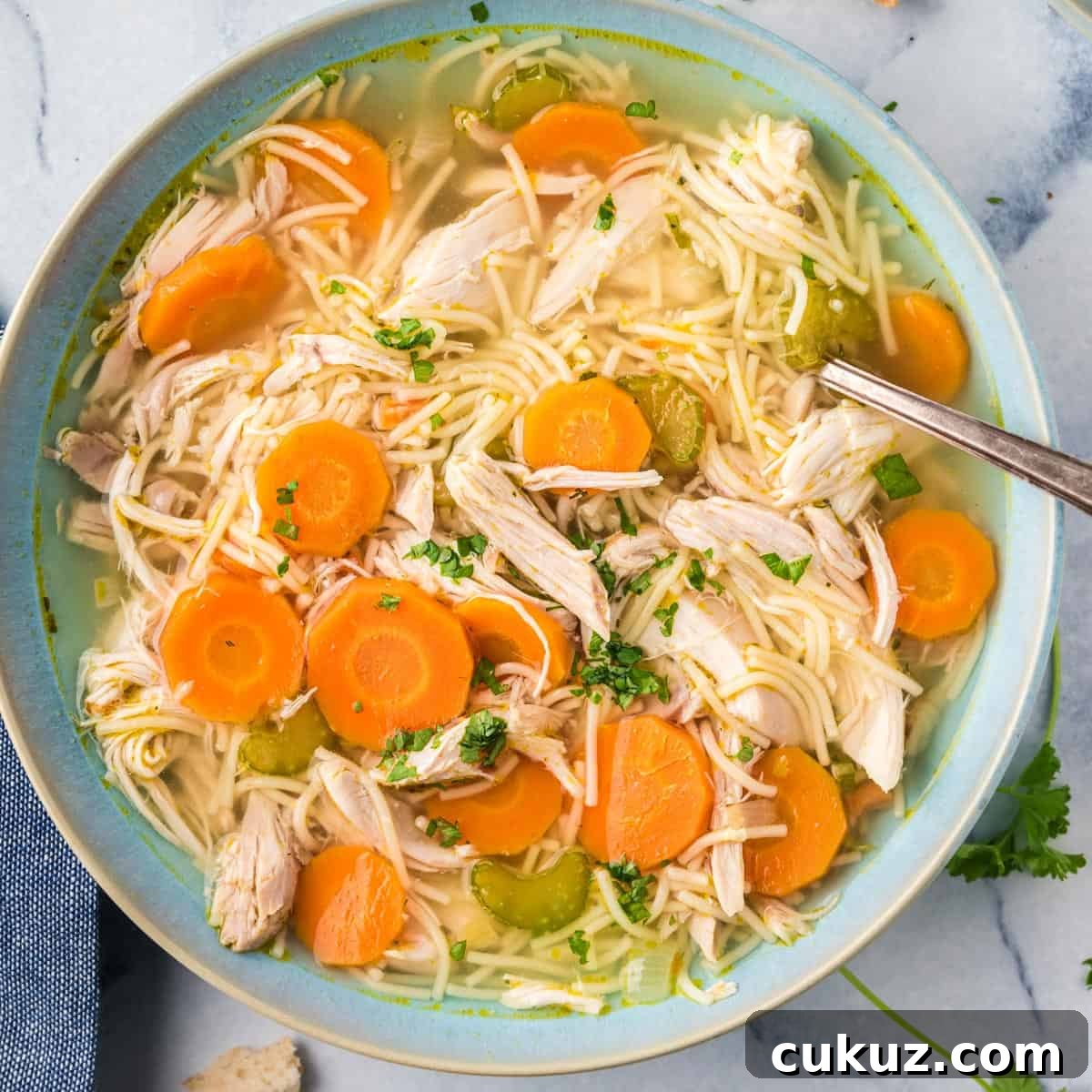 Rotisserie Chicken Noodle Soup Made with Lipton Broth 2 Overhead view of a bowl of chicken noodle soup with carrots.