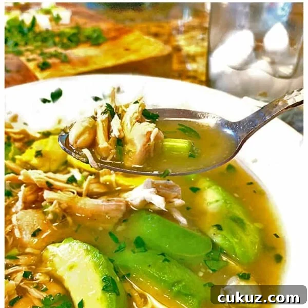 Rotisserie Chicken Noodle Soup Made with Lipton Broth 12 A bowl of soup with a spoon