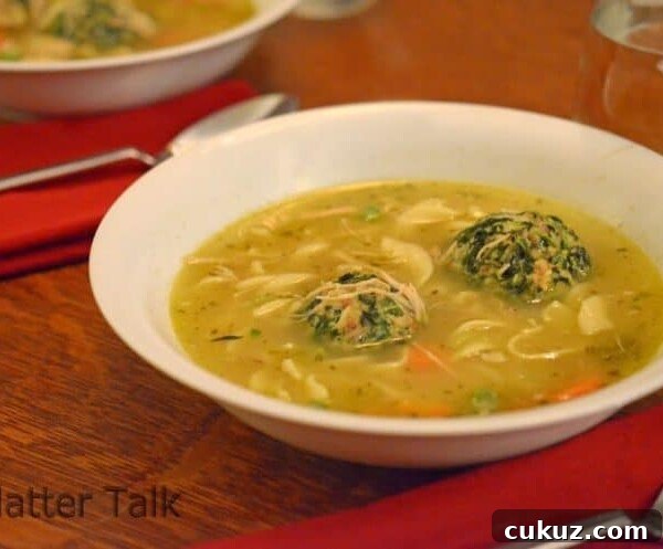 Rotisserie Chicken Noodle Soup Made with Lipton Broth 13 A bowl of chicken noodle soup