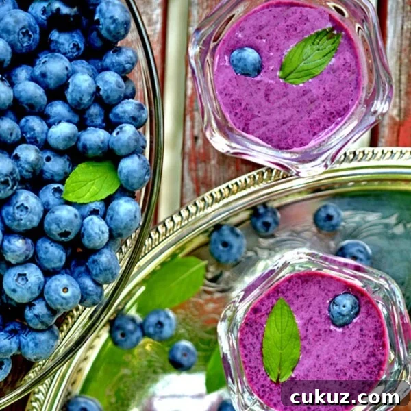 Rotisserie Chicken Noodle Soup Made with Lipton Broth 14 Bowl of fresh blueberries and two servings of blueberry soup