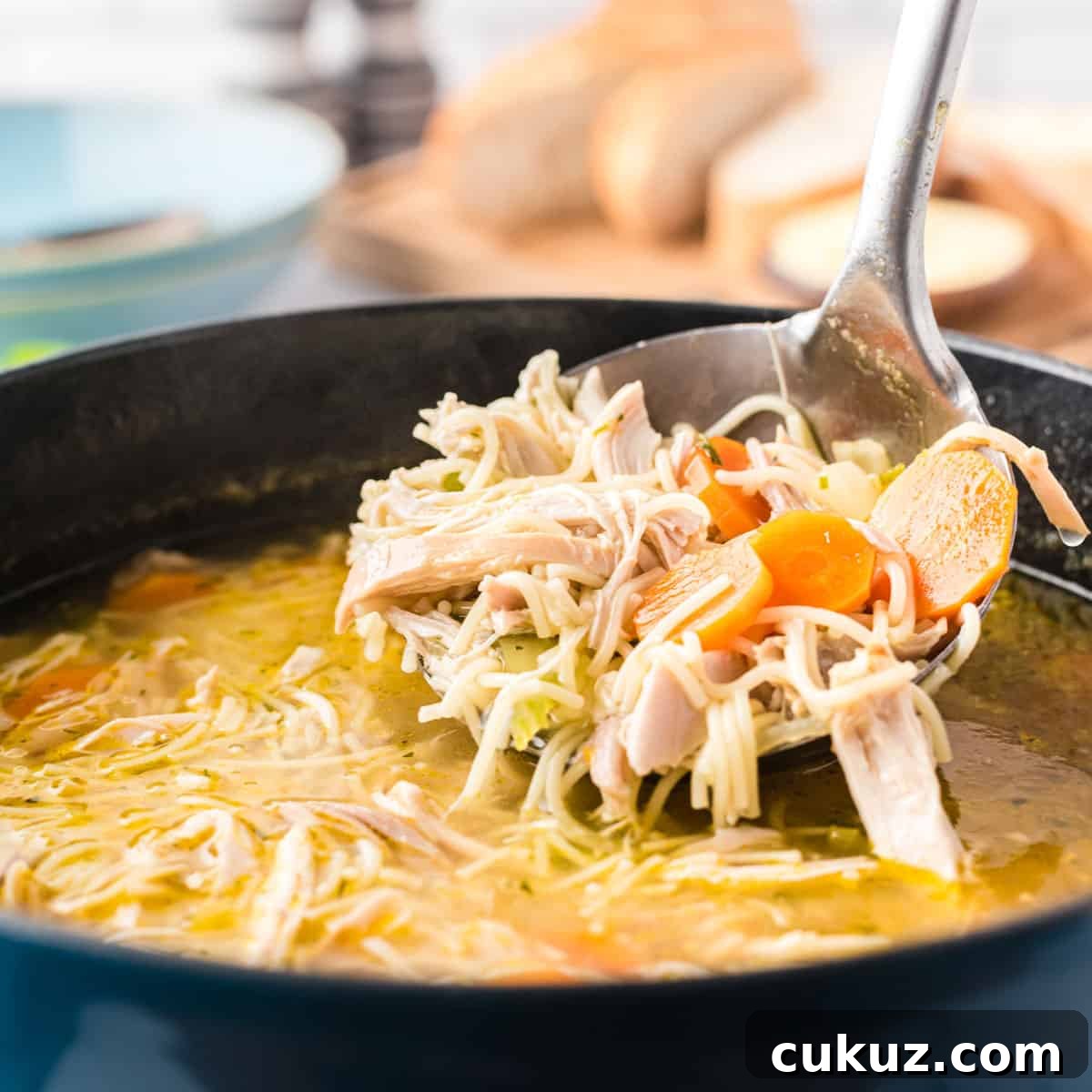 Rotisserie Chicken Noodle Soup Made with Lipton Broth 3 A large ladle of chicken noodle soup with chunks of carrots.