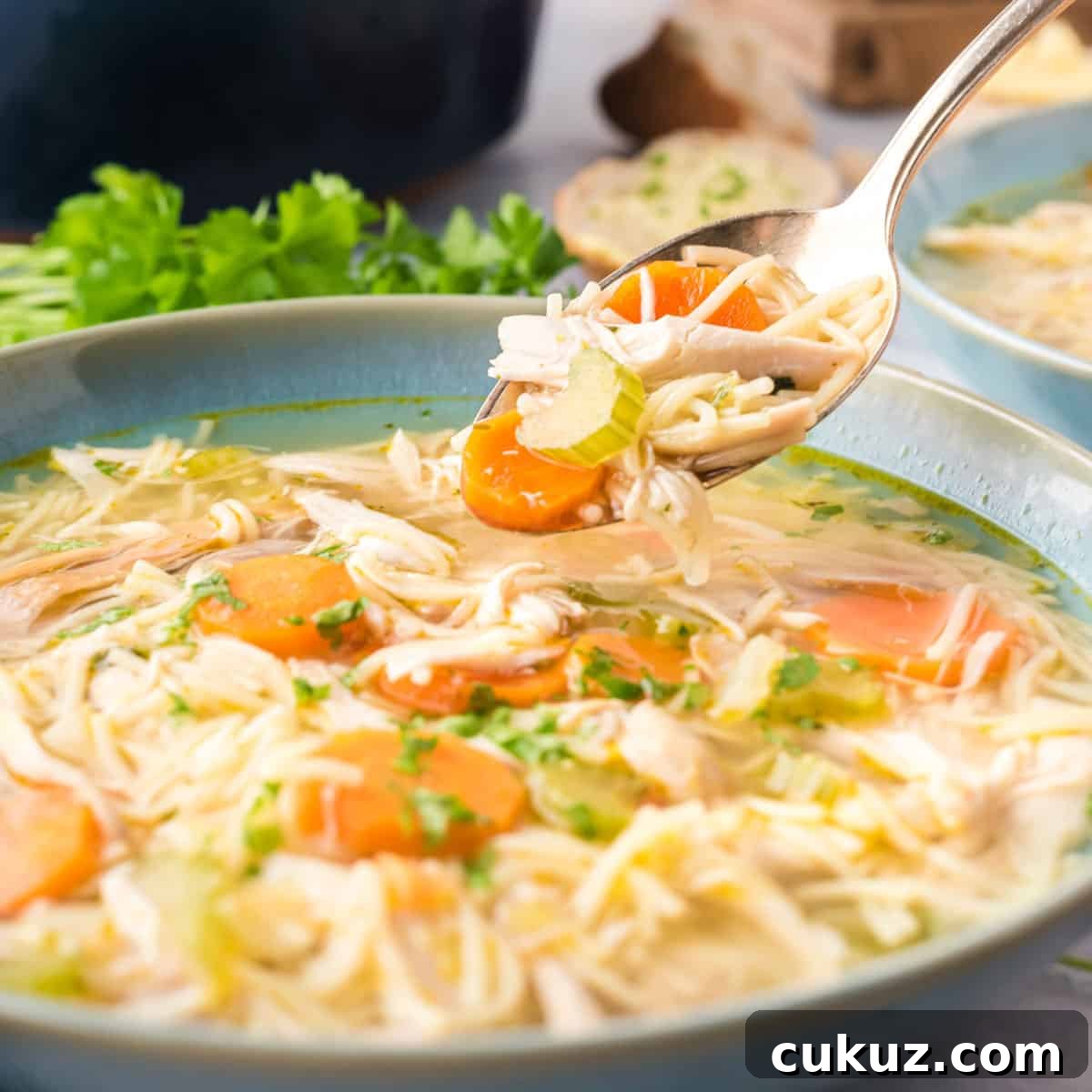 Rotisserie Chicken Noodle Soup Made with Lipton Broth 8 A spoon of chicken noodle soup.