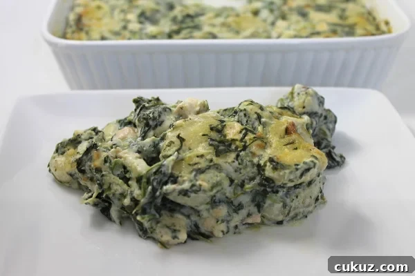 Fabulicious, Skinny Chicken Alfredo Gnocchi Bake