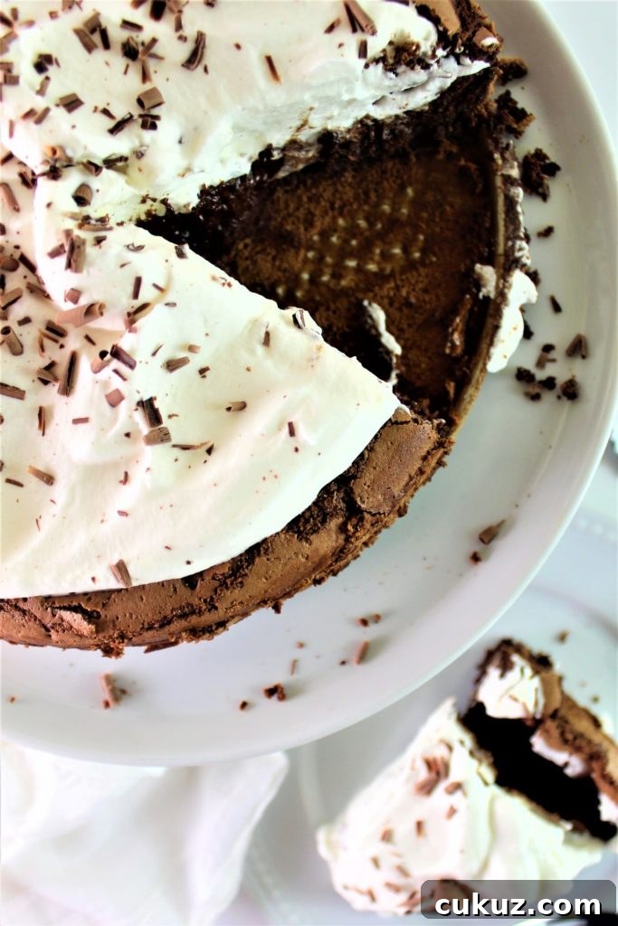 Chocolate Cloud Cake: Naturally Gluten-Free, Light & Fluffy 3 overhead shot of chocolate cloud cake with slice taken out