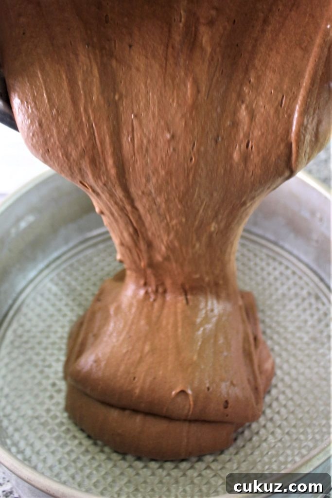Chocolate Cloud Cake: Naturally Gluten-Free, Light & Fluffy 5 pouring the batter into the springform pan