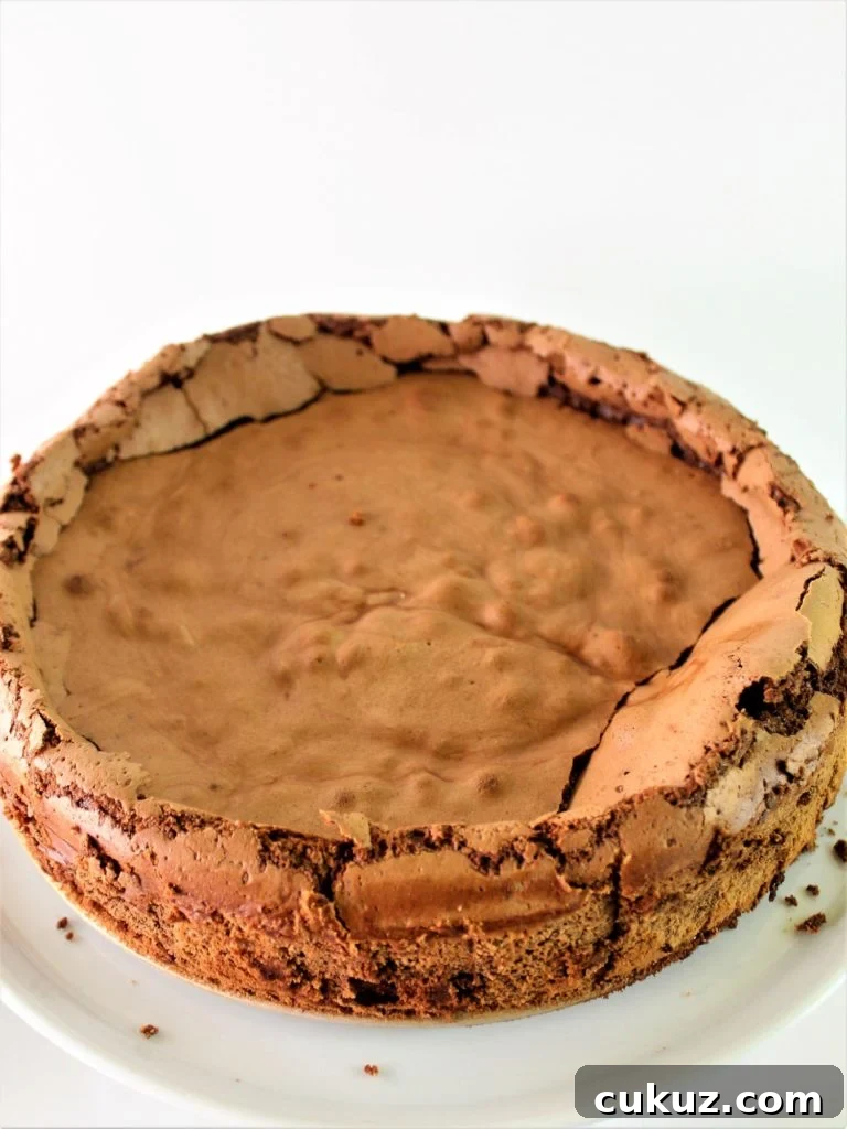 Chocolate Cloud Cake: Naturally Gluten-Free, Light & Fluffy 6 chocolate cloud cake without whipped cream