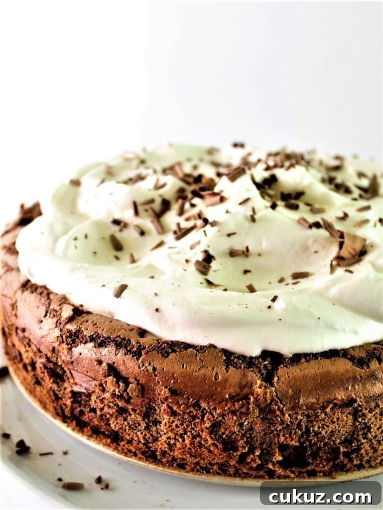 Chocolate Cloud Cake: Naturally Gluten-Free, Light & Fluffy 8 chocolate cloud cake