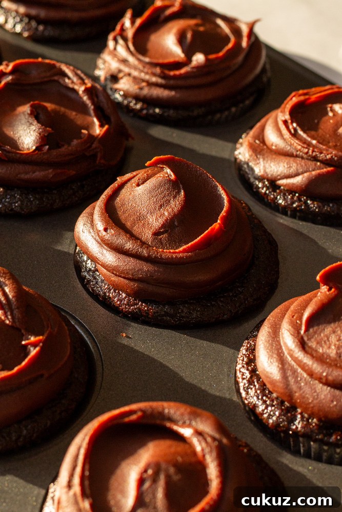 Bear-Shaped Chocolate Cupcakes with Silky Chocolate Mousse Filling 2 chocolate mousse cupcakes