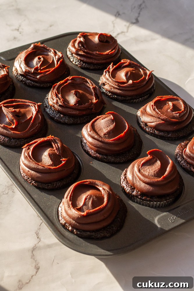 Bear-Shaped Chocolate Cupcakes with Silky Chocolate Mousse Filling 12 chocolate mousse cupcakes