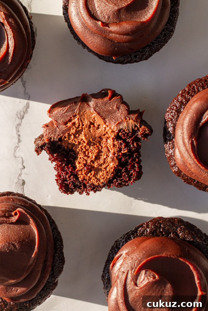 Bear-Shaped Chocolate Cupcakes with Silky Chocolate Mousse Filling 4 chocolate mousse cupcakes