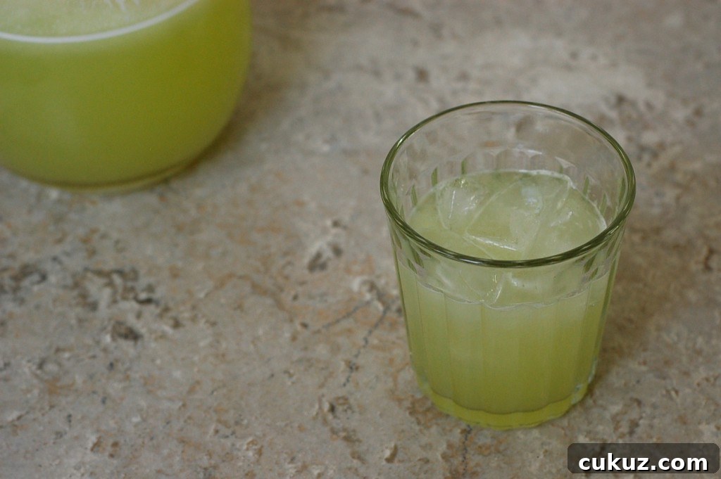 Honeydew Agua Fresca - Version 2