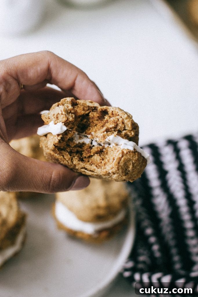 Low-Sugar Gluten-Free Oatmeal Cookie Sandwich with Cinnamon Yogurt Filling 6 Oatmeal cookie sandwich in hand