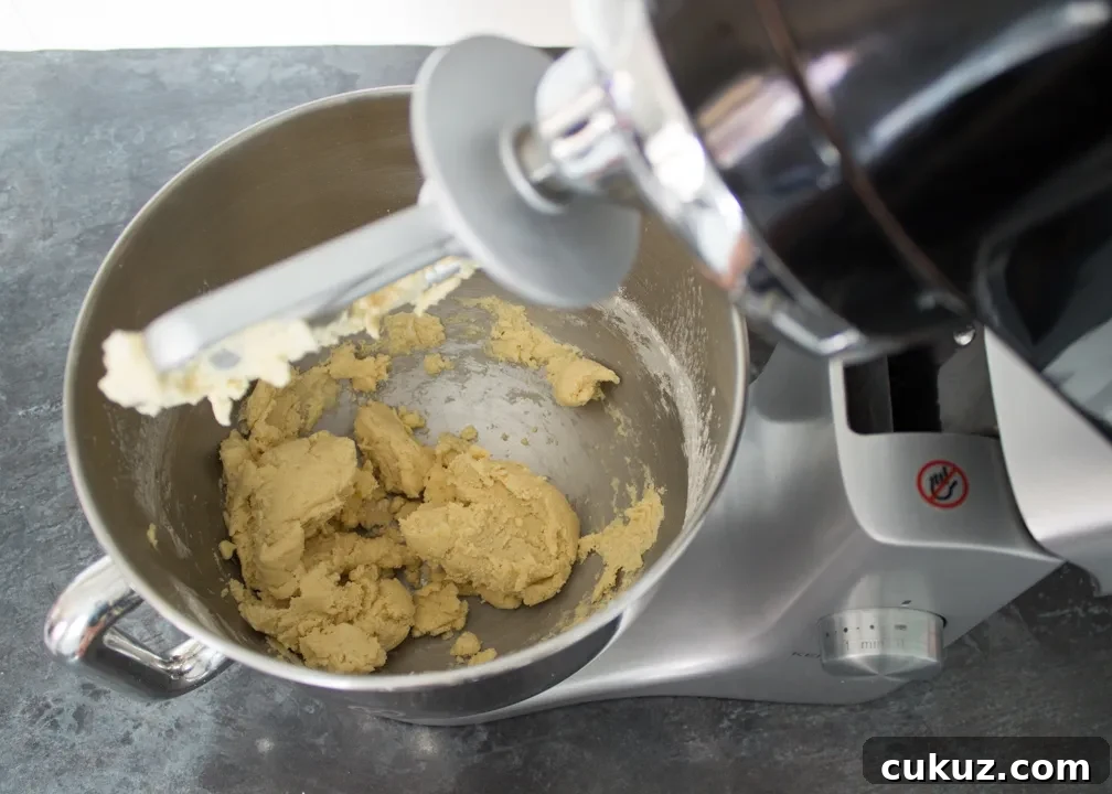 Cookie dough in a stand mixer