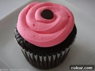 Single Chocolate Raspberry Cupcake