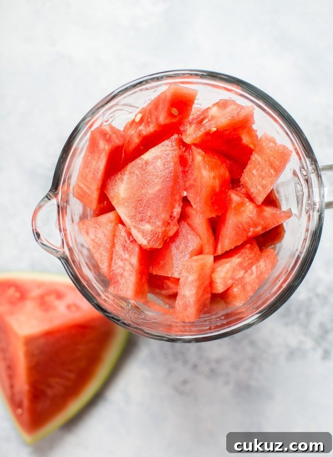 blender with pieces of watermelon