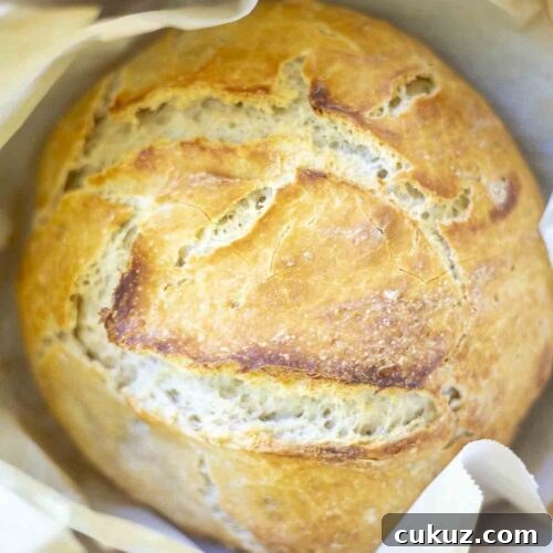 How to Make Delicious Bread with Sourdough Discard 13 loaf of sourdough bread in a parchment lined dutch oven