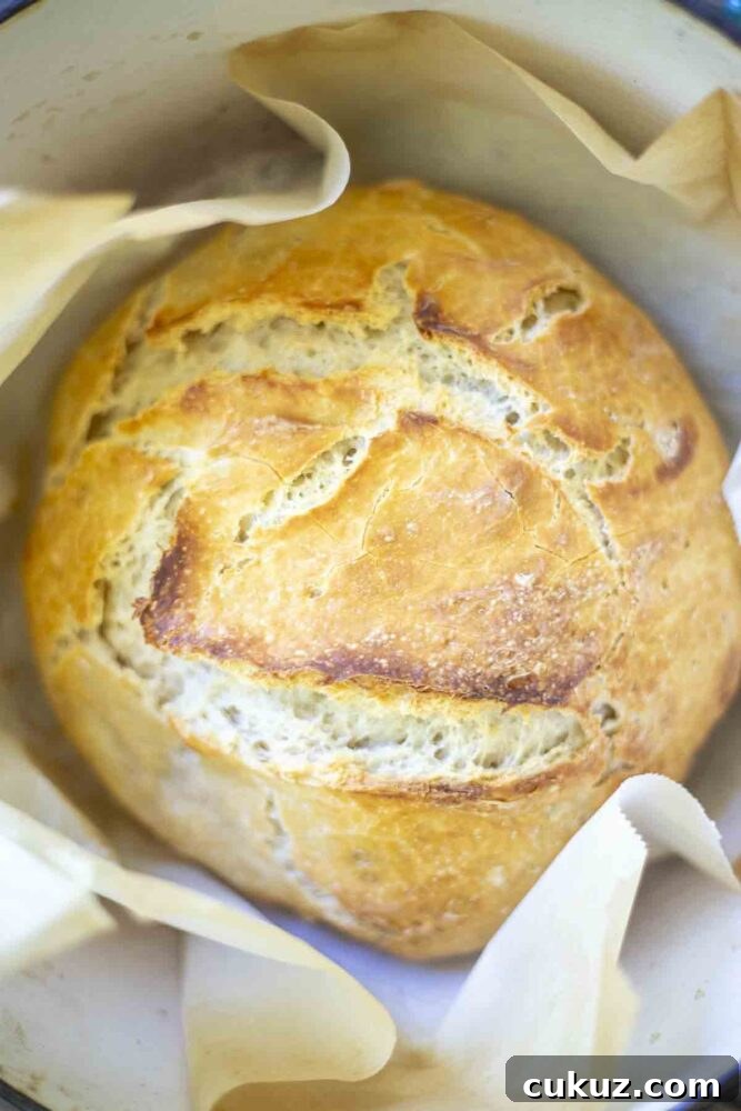 How to Make Delicious Bread with Sourdough Discard 5 loaf of sourdough bread in a parchment lined dutch oven