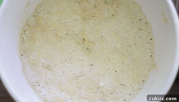 How to Make Delicious Bread with Sourdough Discard 10 bread dough after the first proof