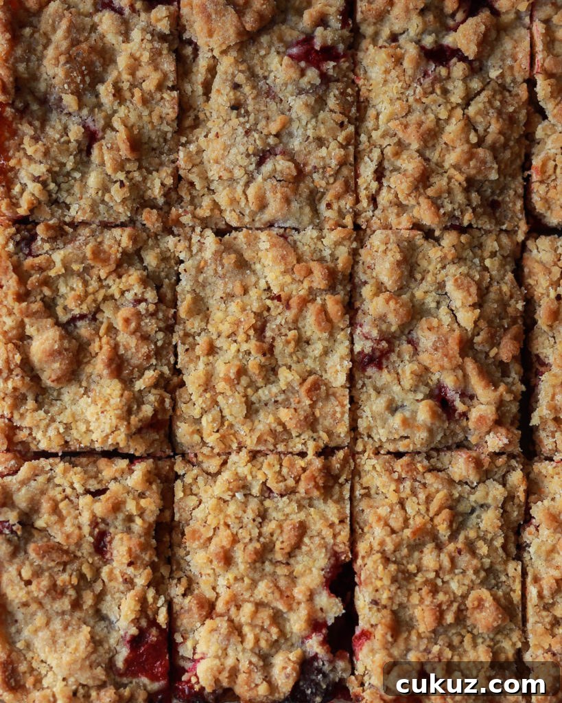 cranberry hazelnut crumb bars