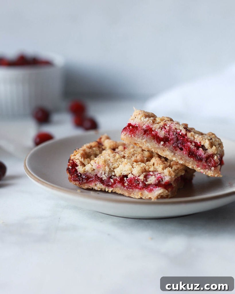 cranberry hazelnut crumb bars